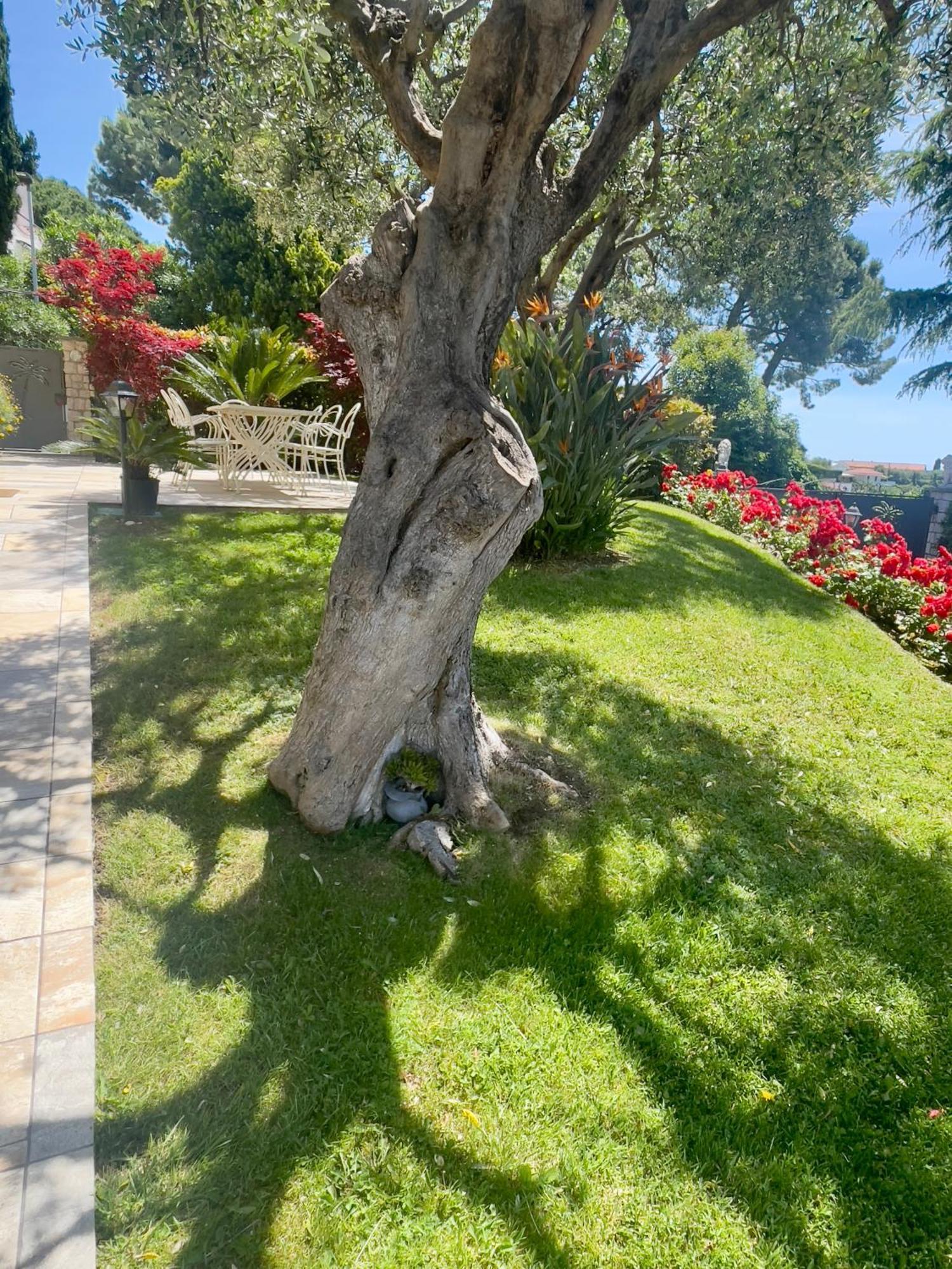 Villa Gaia - Luxury Villa, Pool & Wellness Rooms Bordighera Exteriör bild